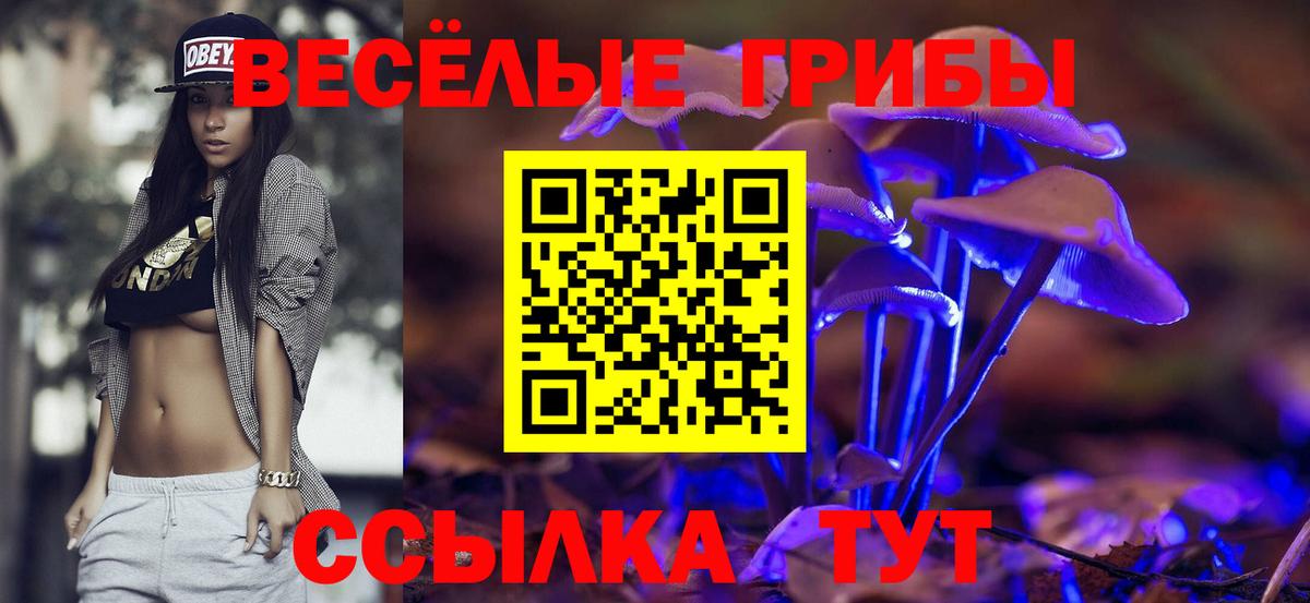 Псилоцибиновые грибы Magic Shrooms Балашов