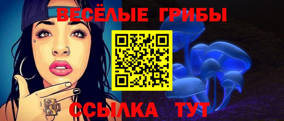 Балашов  Псилоцибиновые грибы мухоморы  Вход с VPN 